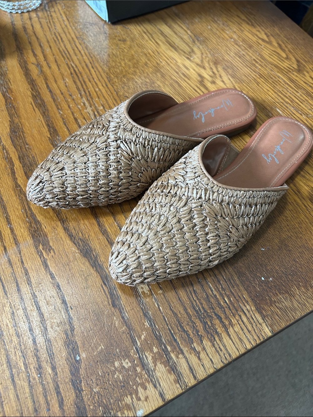 Wonderly Woven Pointed Mule - Beige